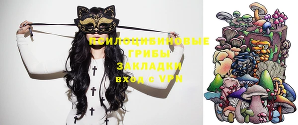 ALPHA PVP Алексин