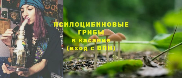 индика Слюдянка