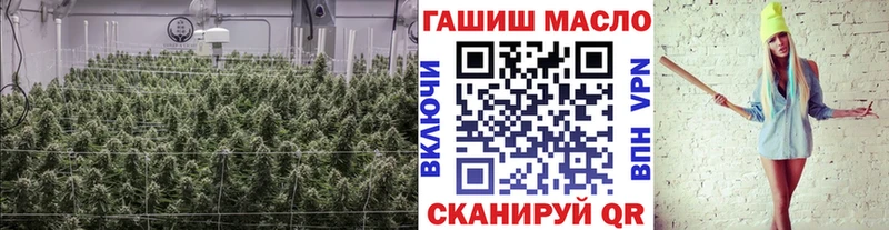 ТГК Wax  Данков 